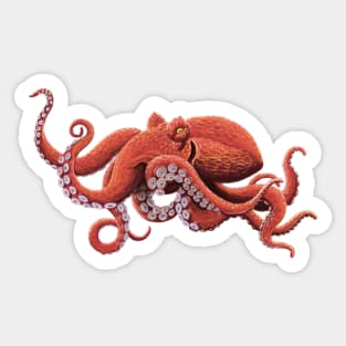 Giant Pacific Octopus Sticker